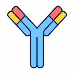 Immunology and the Immune System