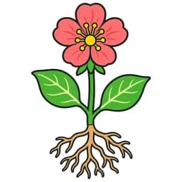 Plant Biology