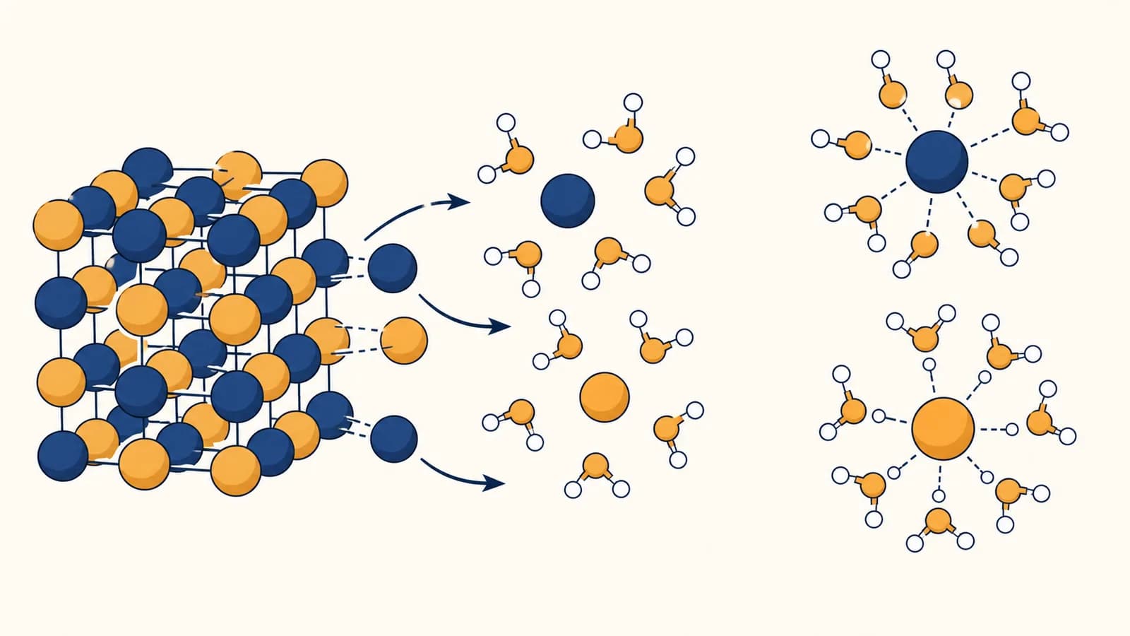 An illustration shows salt ions separating from a crystal and becoming surrounded by water molecules.